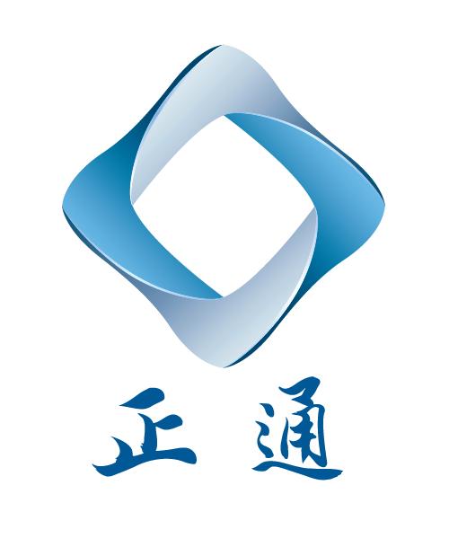 正通汽车神秘客研究