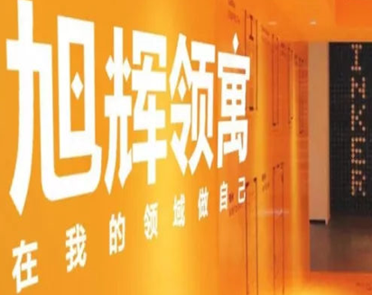 旭辉领寓新华闵行浦江R4地块客户调研